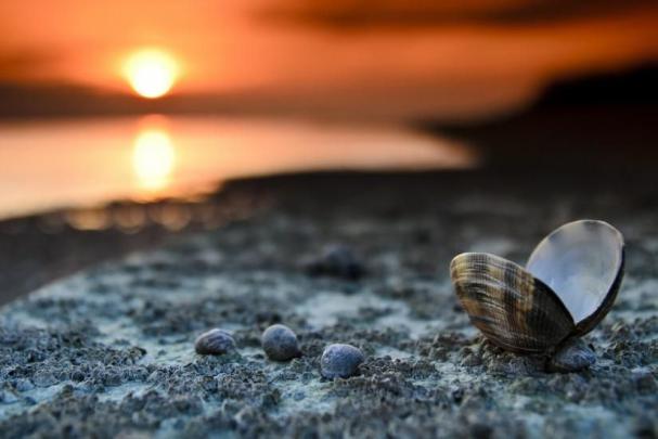 Photography Hd Wallpaper 4k For Mobile 1920x1080 - Gambar Ngetrend dan 