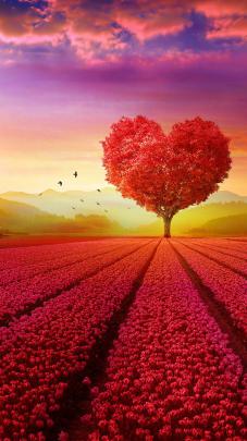 Mobile HD Wallpapers, Mobile Images, Mobile HD Images