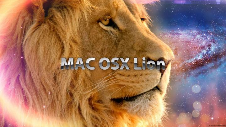 free wallpicz: Lion Wallpaper Deviantart
