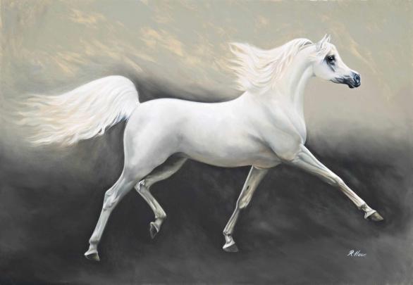 Arabian Horse Photo Gallery Wallpaper (53+ images)