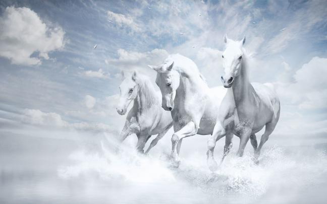 Horse Desktop Wallpaper (76+ images)