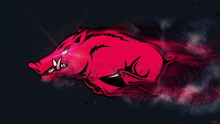 Razorback Wallpaper (64+ images)