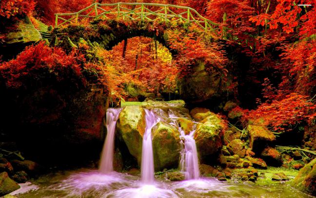 Autumn HD Wallpapers