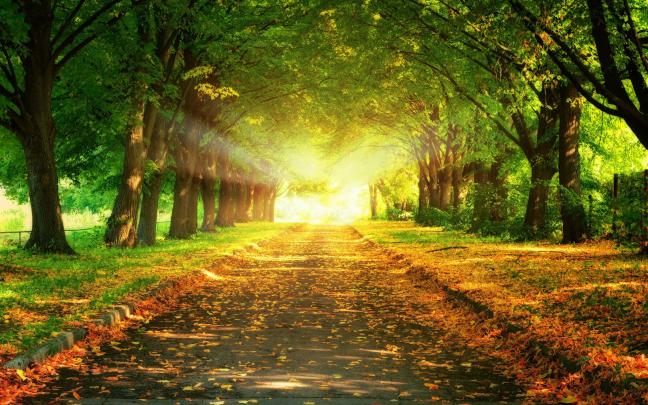 Desktop HD Autumn Wallpapers | HDIMAGESPLUS