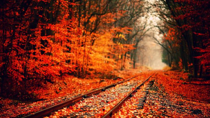 HD Fall Wallpaper for Desktop (61+ images)