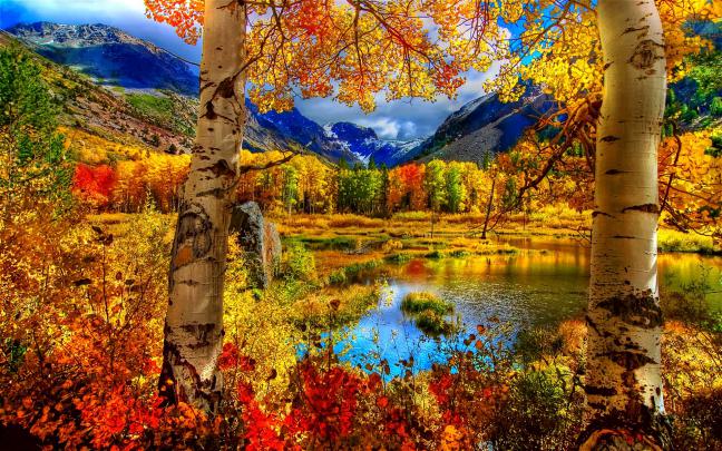autumn, Fall, Season, Nature, Landscape, Leaf, Leaves, Color, Seasons 