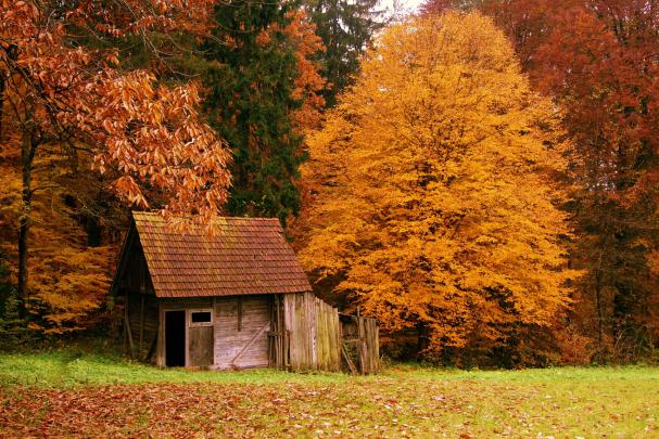 10 Best Desktop Backgrounds Fall Scenes FULL HD 1080p For PC Desktop 2020