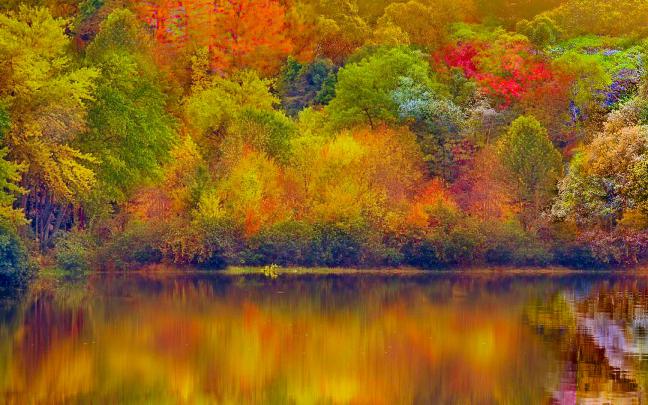 Fall HD Wallpapers