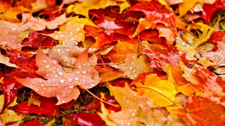 HD Fall Wallpaper for Desktop (61+ images)