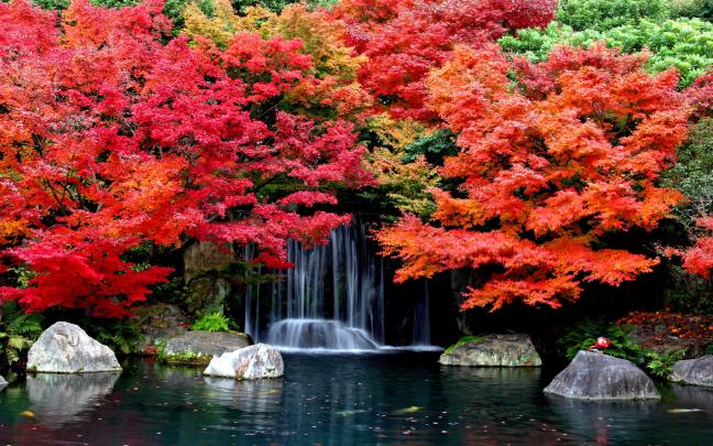 Autumn Falls Desktop Background Hd Wallpapers 1629361 2560x1600 Autumn 