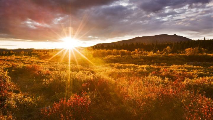 autumn wallpaper widescreen - HD Desktop Wallpapers