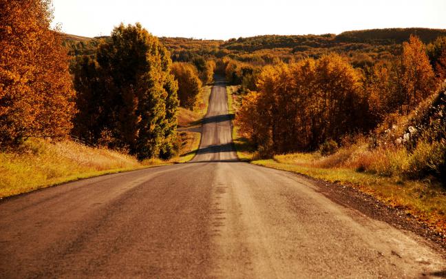 Autumn Free Wallpaper - autumn road Wallpapers - HD Wallpapers 93115