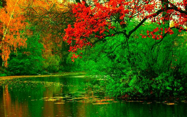 Autumn River HD Wallpaper