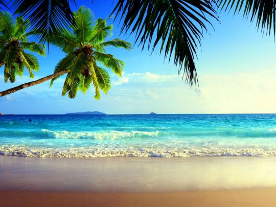 Free download Beach Sea View Summer One HD Wallpaper Pictures [1024x768 