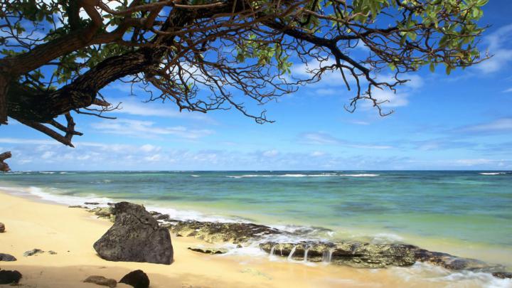 129 Beach Wallpaper Examples To Put On Your Desktop Background
