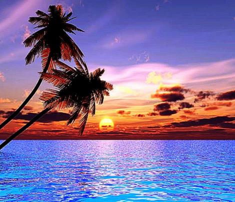 Beach Desktop Wallpaper Widescreen -
