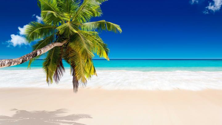 Tropical Beach Picture 4k HD Wallpaper for Desktop