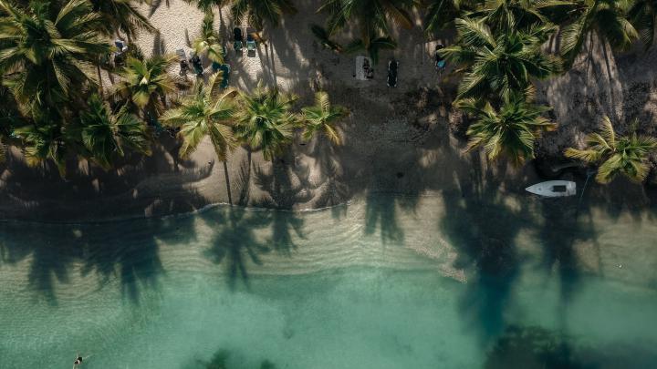Desktop wallpaper exotic, beach, palm trees, drone view, hd image 