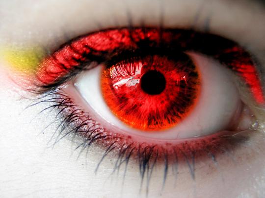 PicturesPool: Beautiful Eyes Wallpapers