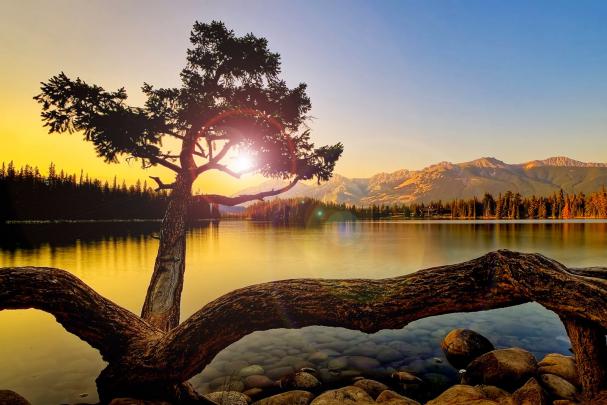 Beautiful HD Desktop Wallpaper | HD Wallpaper | HD Screensaver | HD 