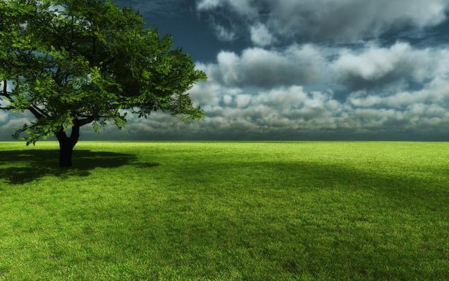 Top 22 Awesome,amazing And Beautiful Greenery Wallpapers In HD