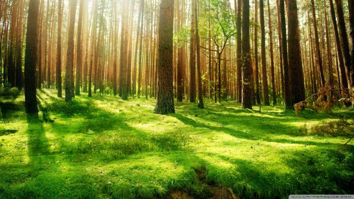 45 HD Beautiful Wallpapers\/Backgrounds For Free Download