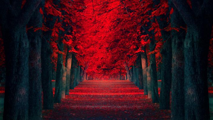 11 Beautiful Road Wallpapers HD - The Nology