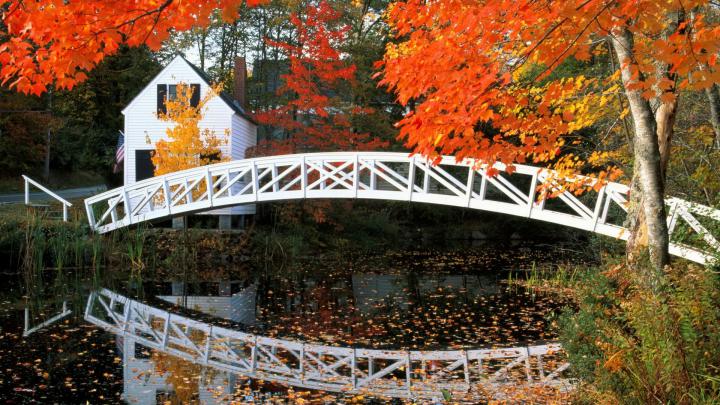 Beautiful Small Bridge on River HD Wallpaper | HD Wallpapers