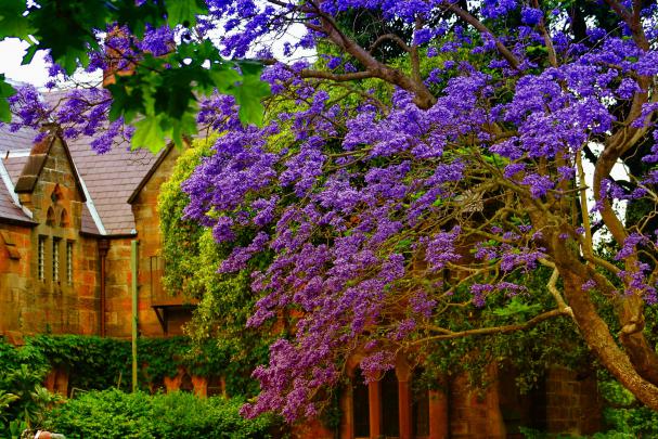 Beautiful Spring Images Download
