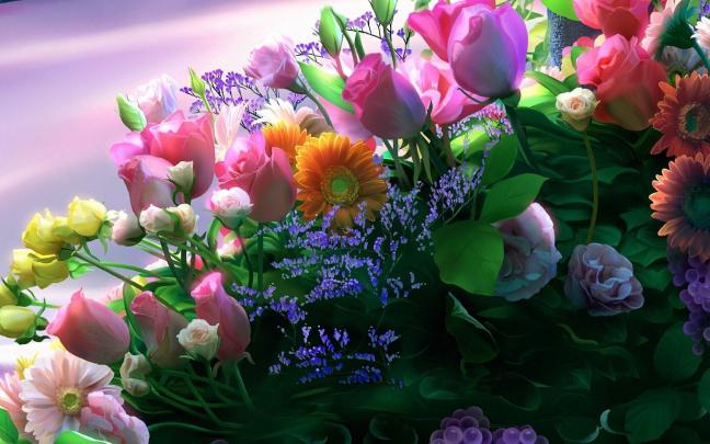 Beautiful Flowers HD Desktop Background Wallpaper | HD Wallpapers