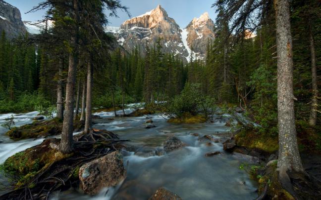 landscape, Nature, Beautiful, Forest, Area, Wild, Sky, Landscapes 