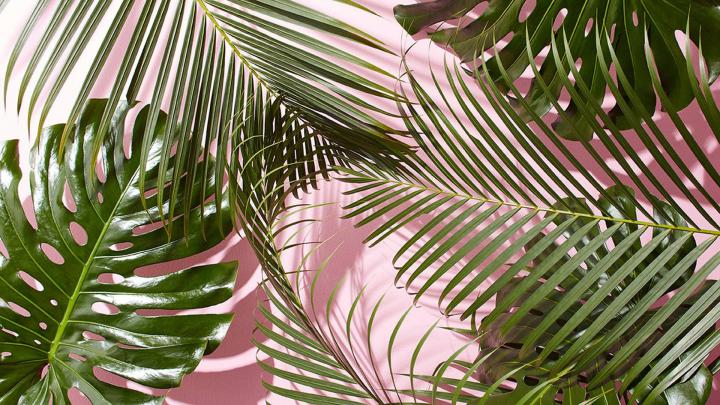Pastel Green Aesthetic Desktop Wallpapers - Top Free Pastel Green 
