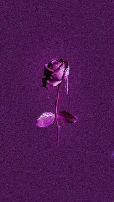 Purple Wallpaper Aesthetic Hd : Aesthetic Backgrounds Free Download 
