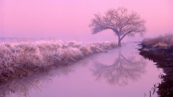 Best Aesthetic Background, HD Wallpaper \u0026 Pictures Download