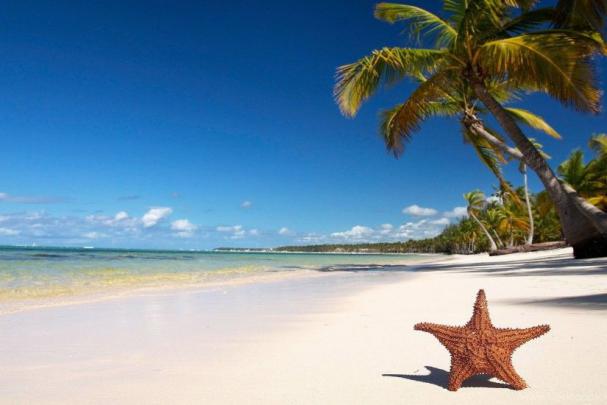 Tropical Wallpaper Desktop \u00b7\u2460 