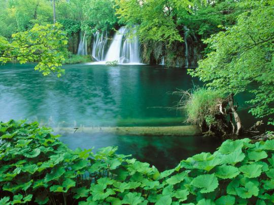 Nature wallpaper, Best Desktop nature Wallpapers | Desktop Wallpaper 