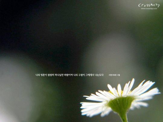 Bible Desktop Wallpapers