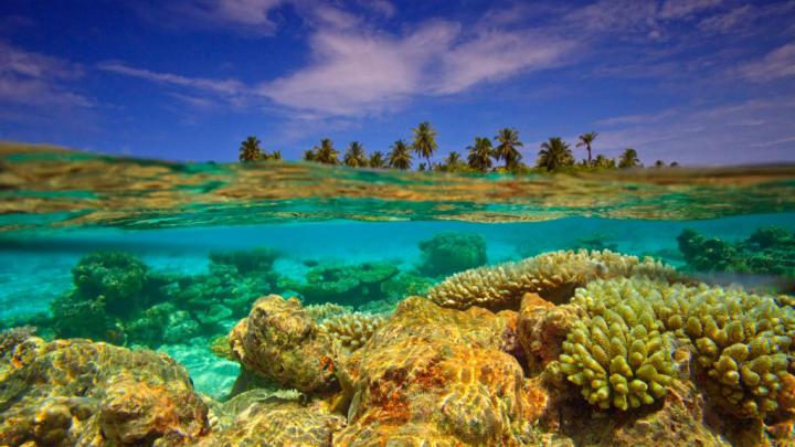 Baulhagallaa Island \u2013 Bing Wallpaper Download