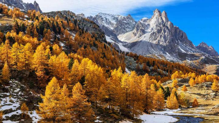 Fall Winter \u2013 Bing Wallpaper Download