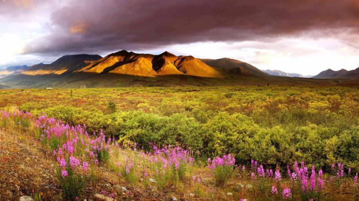 Yukon Sky \u2013 Bing Wallpaper Download