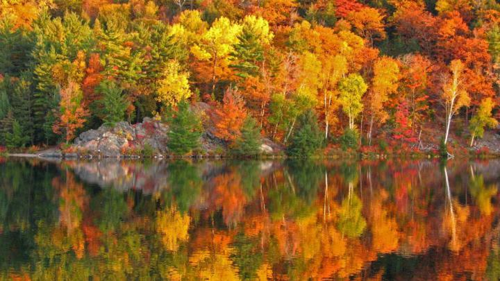 October Morning \u2013 Bing Wallpaper Download