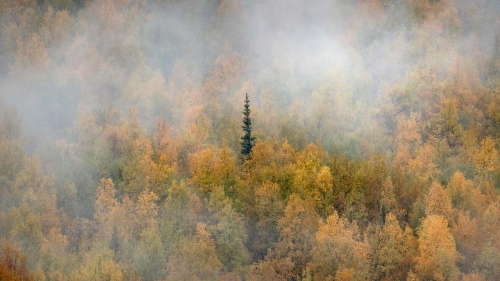 Yukon Fall \u2013 Bing Wallpaper Download