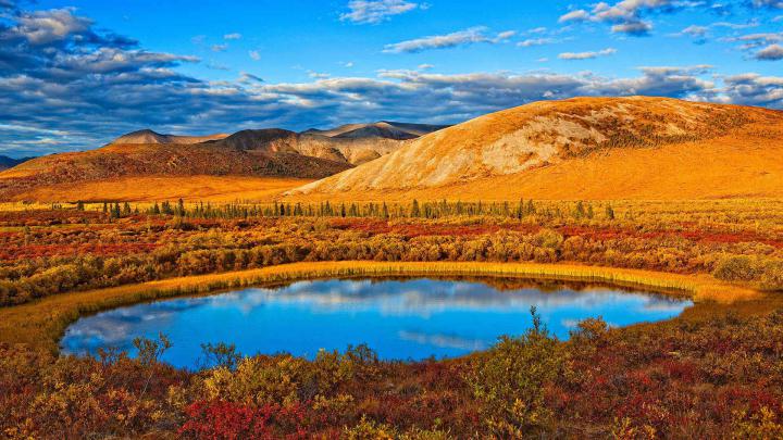 Autumn Yukon \u2013 Bing Wallpaper Download