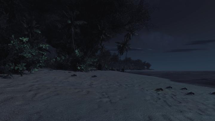 Free download Night Beach Pictures Wallpapers High Definition 