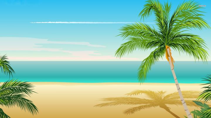 Palm Tree wallpaper | 1920x1080 | #47589