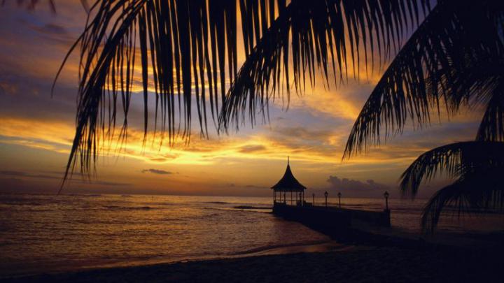 Download Wallpaper 1920x1080 pier, arbor, palm tree, branches, evening 