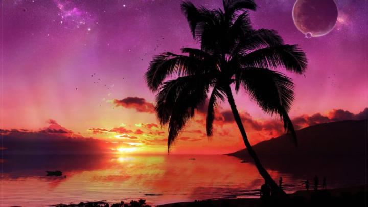 Download Wallpaper 1920x1080 palm tree, tree, evening, sky, planet 