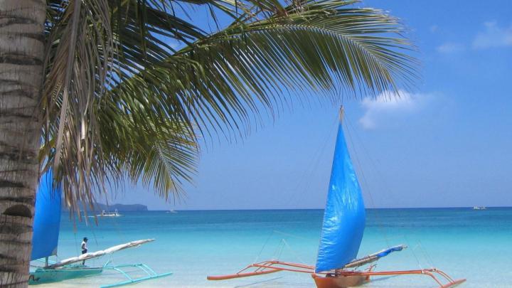 Download Wallpaper 1920x1080 sail, boat, coast, beach, palm tree 