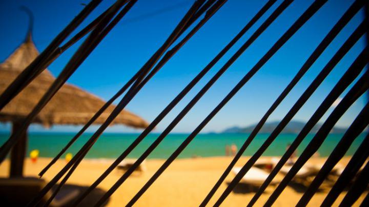 Download Wallpaper 1920x1080 leaves, palm tree, beach Full HD 1080p HD 