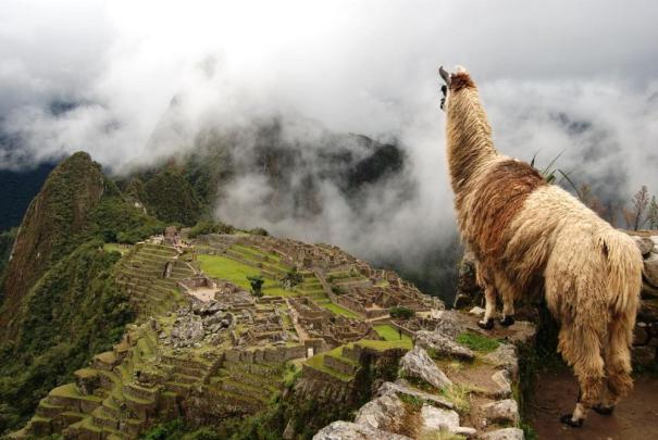 [44+] Peru Wallpaper 